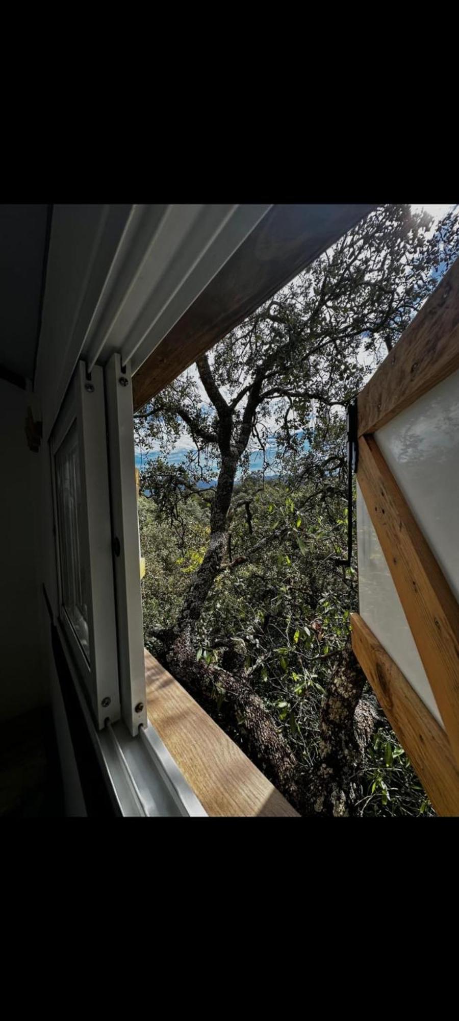 Cabana Del Arbol Lavagarural Villanueva del Rosario Luaran gambar