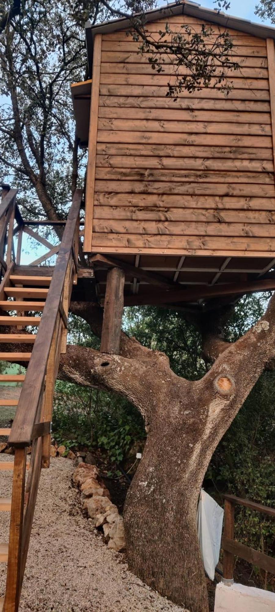 Cabana Del Arbol Lavagarural Villanueva del Rosario Luaran gambar